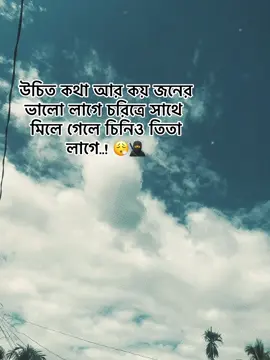উচিত কথা আর কয় জনের ভালো লাগে চরিত্রে সাথে মিলে গেলে চিনিও তিতা লাগে..! 😮‍💨🥷#sigmacaption #foryou #pypypypypypypypypypypypypyp 