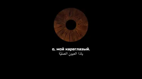 Мой кареглазый🥹. #islam #ислам_религия_мира_добра #fyp #elbruso 
