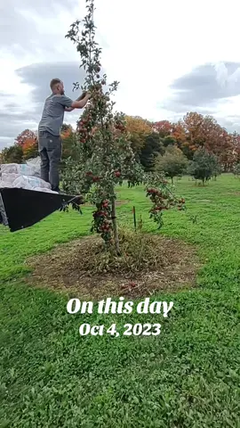 #onthisday #beaverlandlodge #beaverland #apple #orchard 