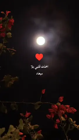 #اناشيد #كلام_من_القلب #كلام_جميل #خواطر #اكسبلور  بدون موسيقى 