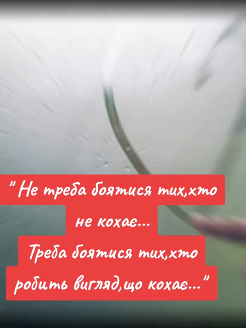 ❤️‍🩹❤️‍🩹❤️‍🩹❤️‍🩹