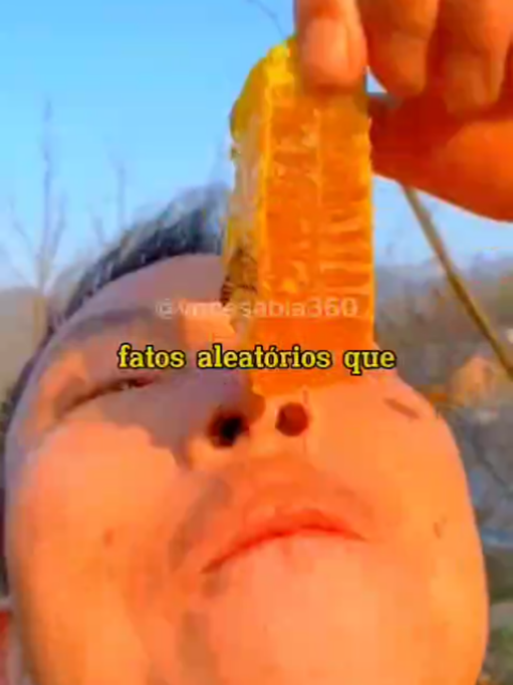 fatos aleatórios que você não sabia ⚠️ #fatosbizarros #fatosdesconhecidos #fatos #fatoscuriosos 
