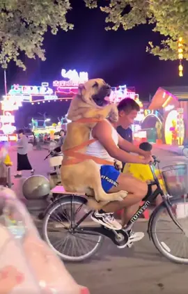 Đủ thư giãn chưa? #tiktok #xuhuong #viral #pet #thucung 