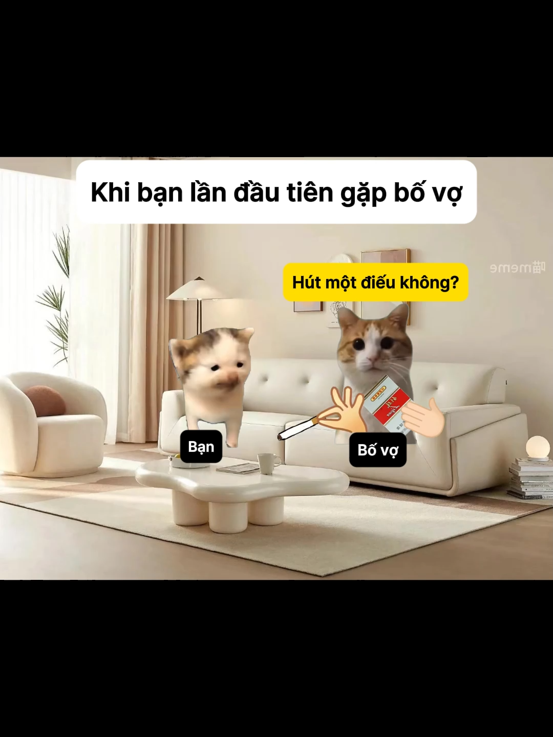 Khi bạn lần đầu tiên gặp bố vợ #meme #catmemes #pets #cat