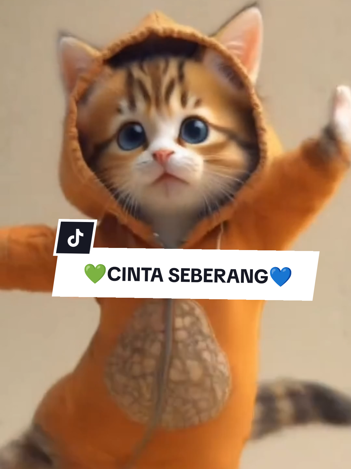 KUCING JOGET KUPANDANG PANDANG ADIK DARI SEBERANG KUCING LUCU KUCING MEONG MEONG MEONG #kucing #kucinglucu #kucingtiktok #kucinggemoy #kucingoren 