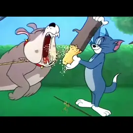 Zhang Linghe #zhanglinghe #张凌赫 #장릉혁  