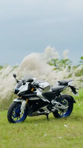 কাশফুল …🌸🕊️ #vairalvide #foryou #r15mlover❤️ #iphone16pro #tending 