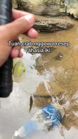 Tuan crab dodol tron #fishing #mancing #mancingmania #fyp 