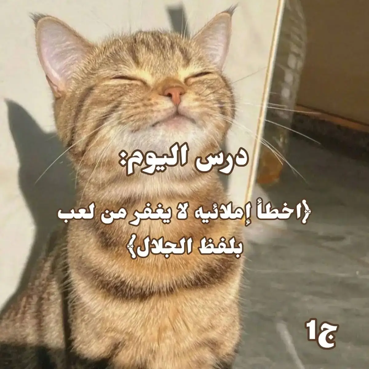 فديو مهم جدا ❤️📌⚠️ استغفر الله العظيم و اتوب اليه  اللهم صل وسلم على نبينا محمد  سبحان الله وبحمده  سبحان الله والحمدلله و الله اكبر و لا اله الا الله  اللهم اغفر لي ولوالدي وللمؤمنين والمؤمنات و المسلمين و المسلمات الاحياء منهم والاموات#قران_كريم#foryoupage  #viral #fyp #غزة_العزة🇵🇸 