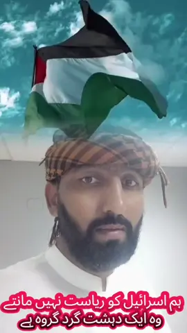 #پاکستان___زندہ___باد #foryou #viralvideo #گلوبلصمودفلوٹیلا #follow 