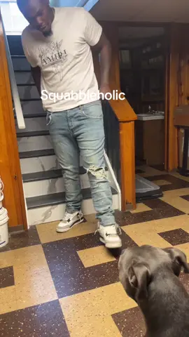 Bud pawford not ducking no fades 🤣🤣🤣#budpawford #dogsoftiktok #betterpackyourtears #funny #viral 