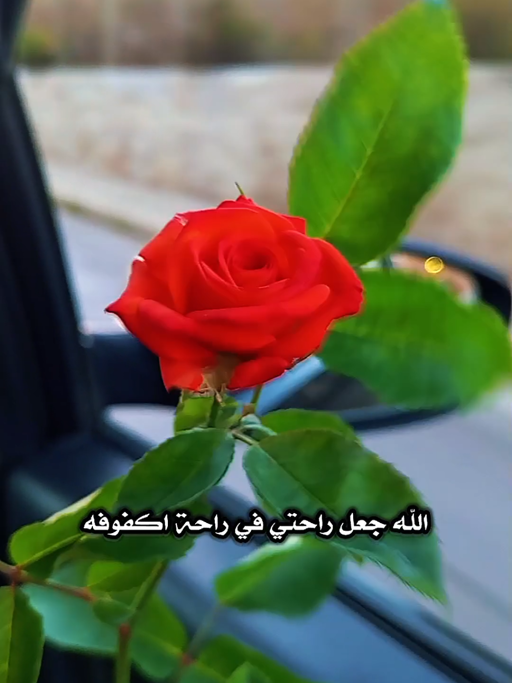 #CapCut يا وجها اشتاق له  #غزاي_بن_سحاب #اكسبلور #trending #lavendr81 