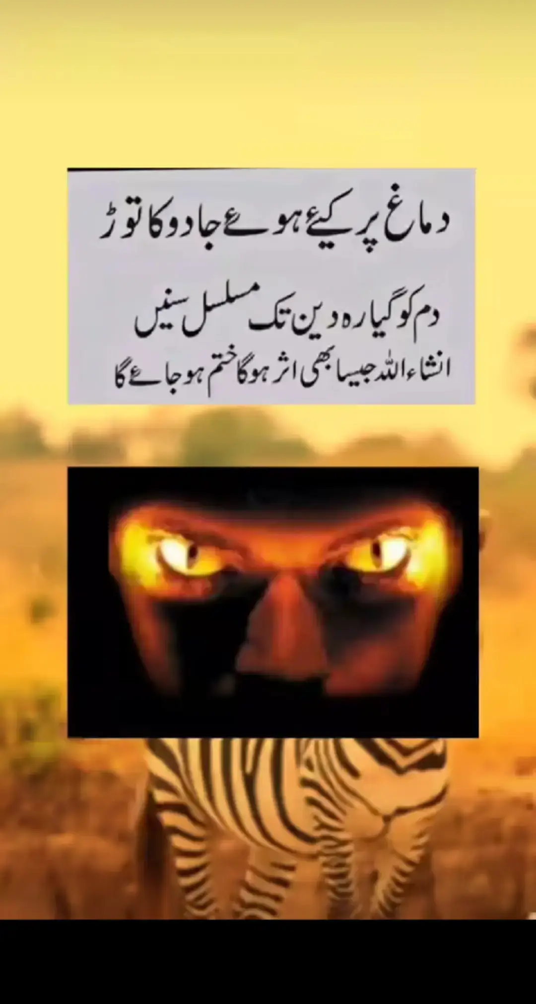 sub jaiz kam ke lye WhatsApp account ki bio main hy Jazakallah#plzsupport #plzzz_saport_me #foryoupage #foryoupageofficiall 