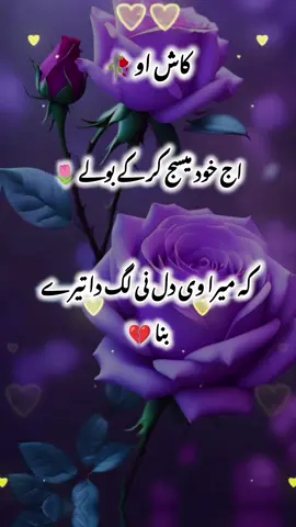 Kash oy ajj khud msg kar ka bolay💔🌷🥀#fyp #foryou #foryoupage #trending 