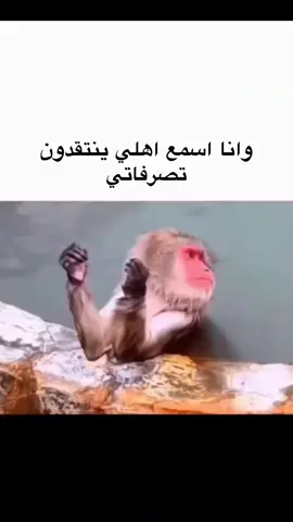 😵‍💫😵‍💫😵‍💫😵‍💫😵‍💫#اكسبلور #السعودية #العراق #محضوره_من_الاكسبلور_والمشاهدات #الأهل