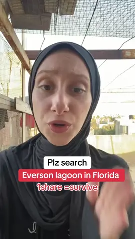 كنت أتوق لتجربة مسبح ٣١ إيفرمور باي لاغون منذ ان رأيته من نافذه طائرتي العام الماضيوتحققت أحلامي اخيرا افضل مسبح في أورلاندو#eversonlagoonflorida #orlandoflorida #traveltiktok #fyp #travelbucketlist 