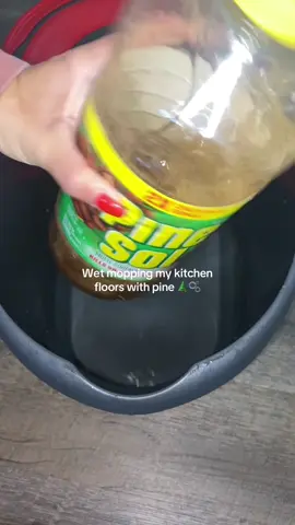 A pine combo is the best combo 🤩 this left my floors soo shiny 🫧🧼 #pinesol #cleaning #moppingfloors #asmr #sudsy @Scrub Daddy I