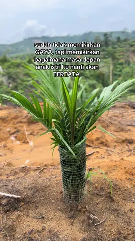 #4you #fyp #petanimuda #foryoupage #fyppppppppppppppppppppppp 