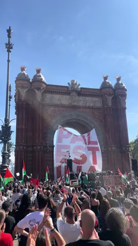 #espanya🇪🇸🇪🇦🇪🇦 #fiesta #freefree #pelestine #like @Shami @Ajaz Ahmed 