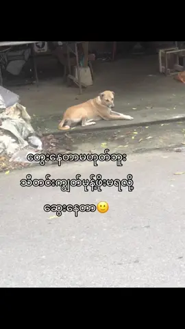အာဝုလဲမပျော်ဘူးတဲ့ ငါမရသလ်ိုနင်တို့လဲမရပါစေနဲ့နော်😍 #fpyシ #lyrics #foryoupage #ဘယ်ချိန်တင်မှviewတတ်မှာလဲ😾 #foryou 