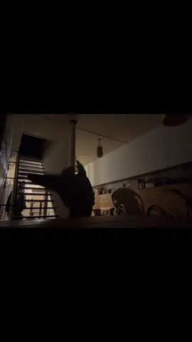 #contemporarydance #dance #sports #fyp 