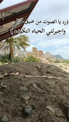 رد بالصوت من ضيق حالي واجبررتني الحياه النكيده المصعبي تتم شبواني مسقط رأس شبوه بيحان وادي خر 