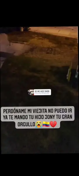 Esta tambien fue una parte de mi historia,ver ami hermano despiendo a su madre desde lejos. #tarde #parati  #mama #perdida 