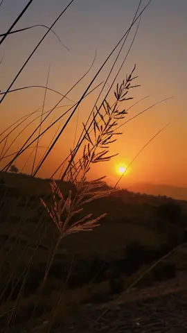 کبھی لگا تھا وہ ہمیشہ ساتھ رہے گا، مگر ایک دن یوں چھوڑ کر گیا جیسے کبھی تھا ہی نہیں۔ زِندگی نے سکھایا کہ وعدے صرف لفظ ہوتے ہیں۔🖤#aesthetic #viral #foryou #viralvideo #foryoupage 