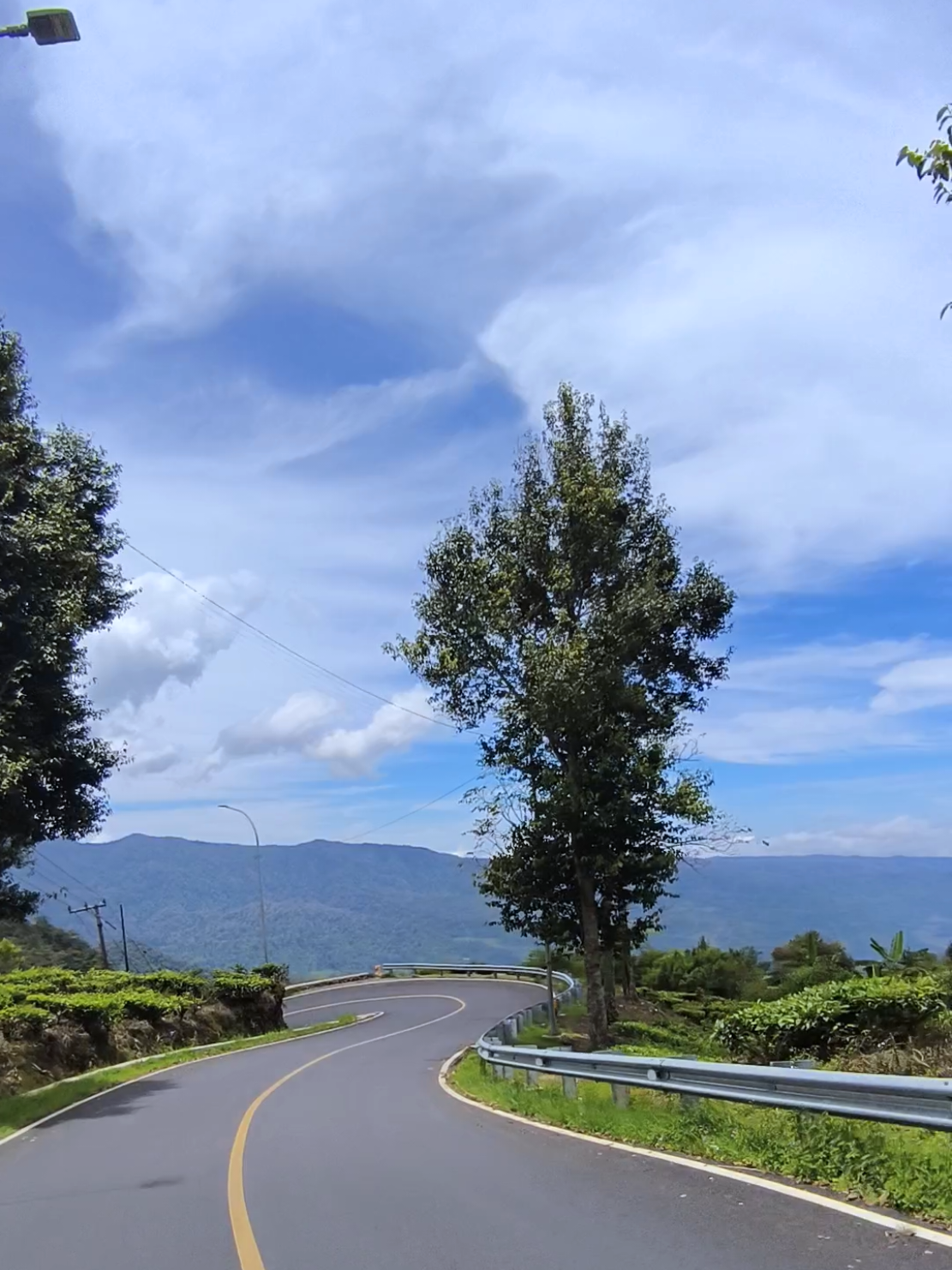 Rancabali-Naringgul emang secandu itu 💚 masyaaAllah #rancabaliciwidey #naringgulcianjurselatan #ciwidey  #kebuntehrancabali 