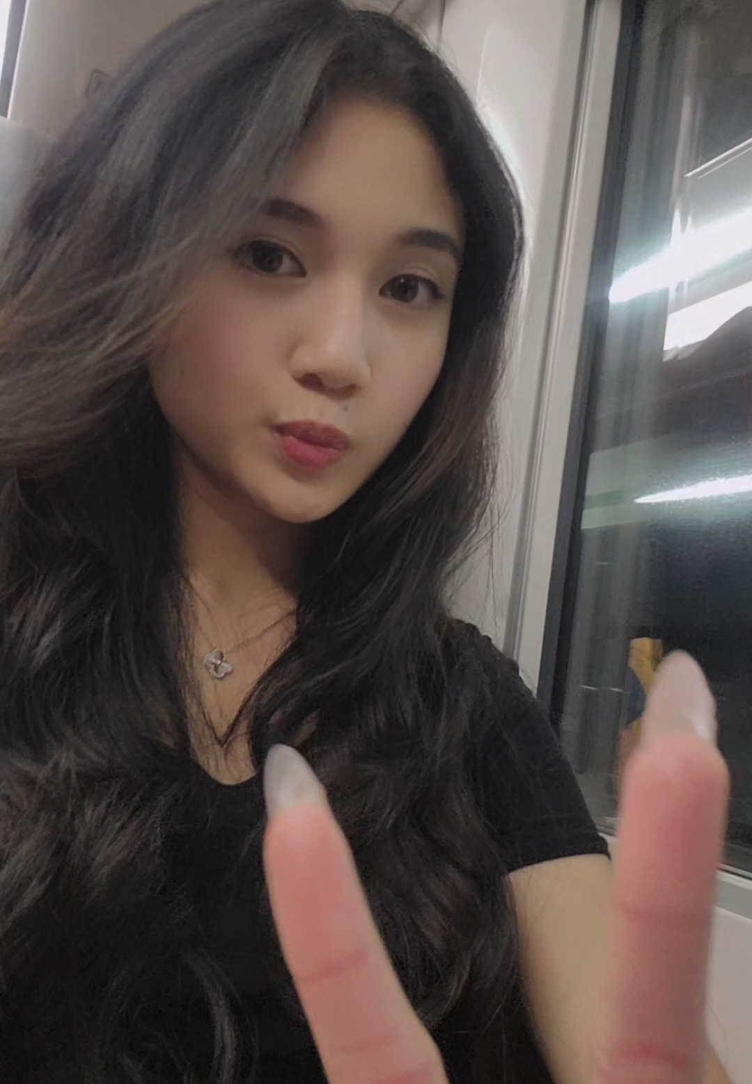 currently on the narita express, heading to shinjuku