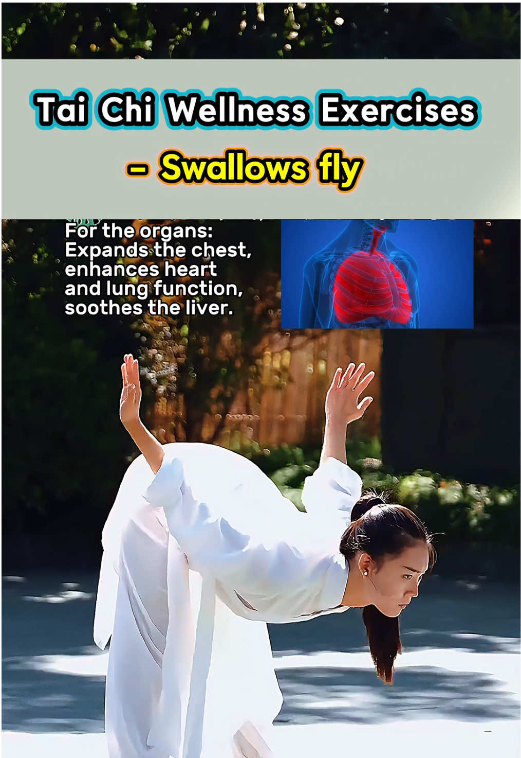 Join me in mastering the fundamental practices of Tai Chi for a healthier and happier body and mind. #taichi #taichimaster #health #taichilife #kungfu 