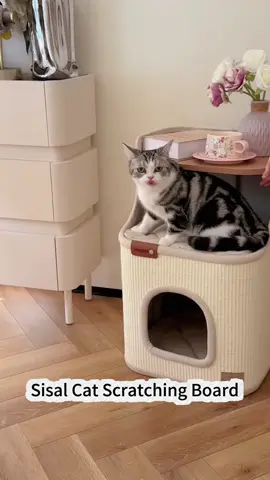 🌟 The Ultimate Scratching & Nap Haven – Now with Double the Fun! 🐾🏠 Let your feline unleash their inner climber and sleeper with this all-in-one cat tree! Featuring dual entry holes, a plush top perch, and endless scratching surfaces, it’s designed for total cat satisfaction. ✨ Why It’s a Must-Have: · 360° Scratching Surface: Tough sisal wrapping satisfies claws without messy shedding 🧶 · Cozy Dual-Dome Design: Top nest filled with PP cotton + fleece for warmth, while the lower space offers a breezy hideout 🌀 · Durable & Easy Clean: PU leather wipes clean, and the base won’t scratch your floors 🧼 · Perfect Size: 15cm diameter holes are ideal for curious heads and cozy naps 😴 😻 Pawfect For: • Multi-cat households (everyone gets a spot!) 🐾🐾 • Cats who love to scratch, climb, and snooze 🐈 • Pet parents wanting a stylish, functional piece 🏡 #CatTree #ScratchAndNap #CatFurniture #CozyCats #PetDesign 👉 Swipe to see how it fits into your space – and your cat’s heart! Tag a friend whose cat deserves a kingdom upgrade! 👑💖