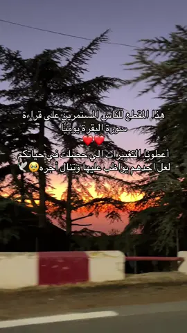 ان طال صبرك و اردت جبرا عاجلا فعليك بسورة البقره 🤍🕊️  #اللهم_صلي_على_نبينا_محمد #explore #viral #صدقه_جاريه #سورة_البقرة 