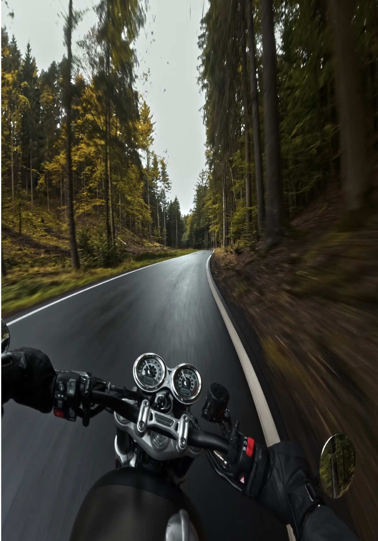 Germany ↔ Czechia recap. We aimed east, but those medieval forests pulled us in. Couldn’t resist crossing borders again. #fyp #motorcyclelife #triumphmotorcycles #intherain #czechia 