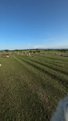 #ilovedaddy🥰  #romania 