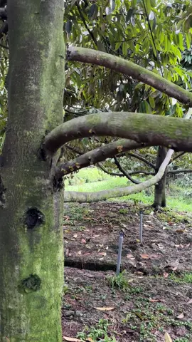 #Muốn có những thứ mình muốn thì Phải chịu khó nha ae.#xuhuong #Ri6 