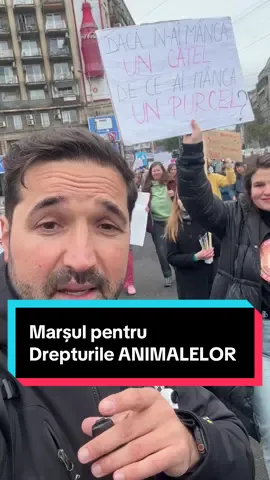 Marșul pentru Drepturile Animalelor #Romania #animale #foryou #fyp #tudorestischimbarea 