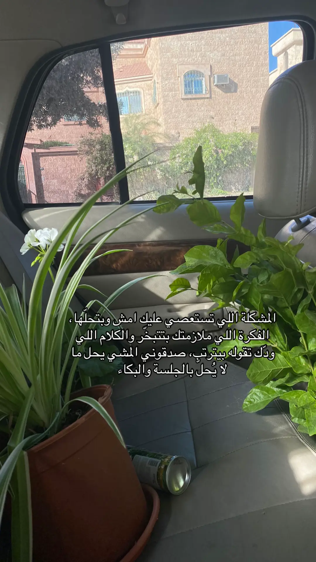 #تيك_توك_لايف #عشواياتي_الافضل #اكسبلورexplore❥🕊 #تيك_توك_ #اكسبلورexplore 