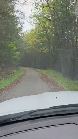 Nothing better than a Pennsylvania backroad in Clearfield County, PA!  I wanna see your favorite backroad....drop it in the comments and tell me where you are from!!! #foryourpage #foryoupage #country #countrygirl #pennsylvania 