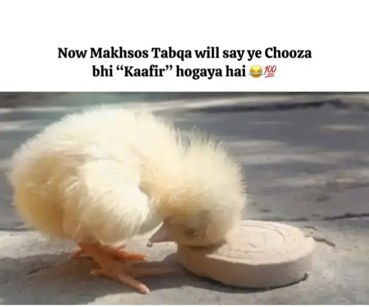 #yaalimadad🚩😘🙏🏻👈 #mir_hassan_mir #growmyaccount✅ #fypシ゚viral🖤tiktok☆♡ #unfreezemyaccount 