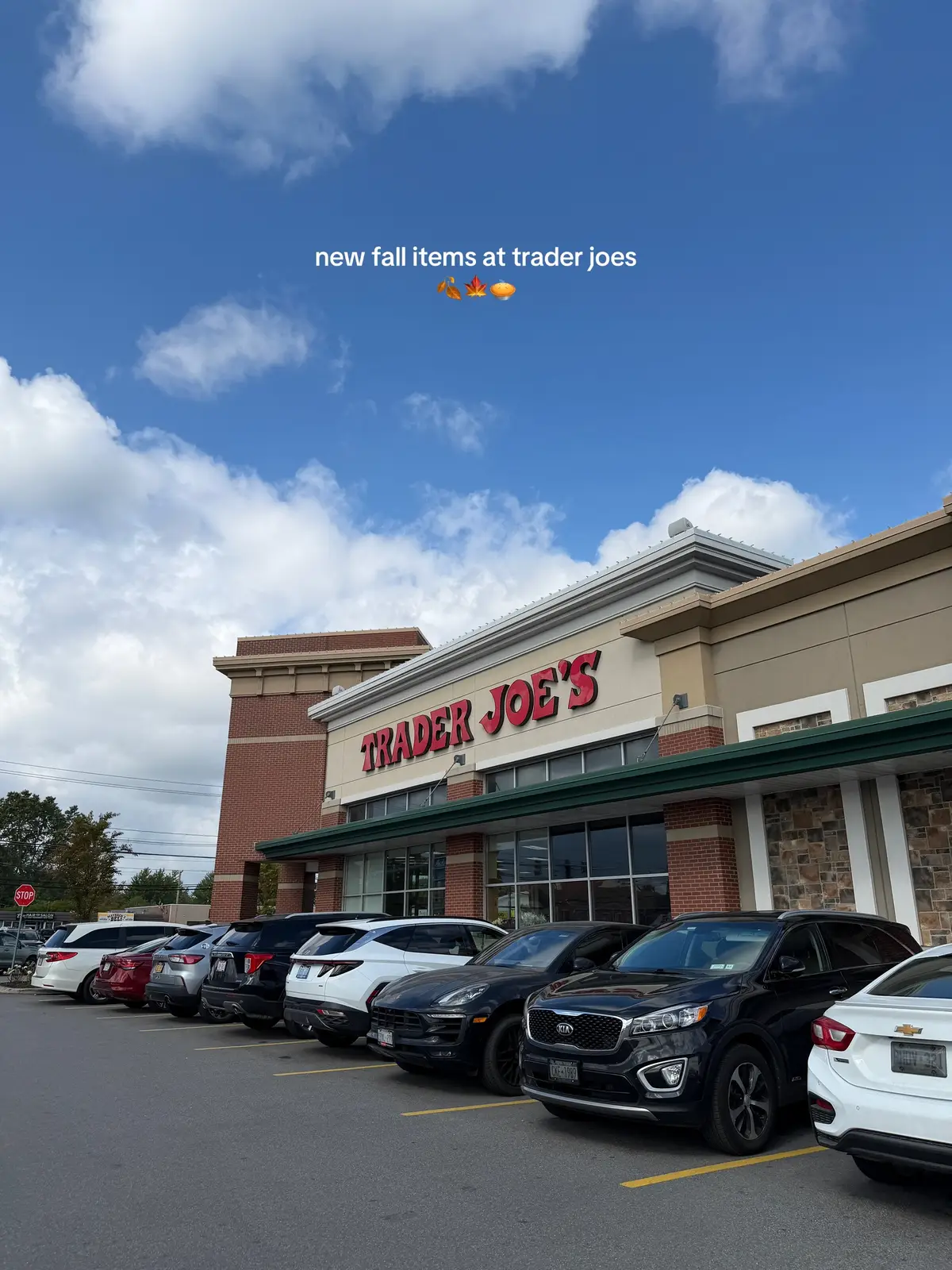 what’s your fave new fall item at TJs?! 