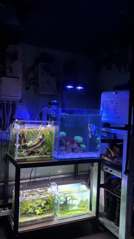 Tempat melamun 