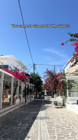 #greeceanimals #greecetiktok #cats #dogs #paros 