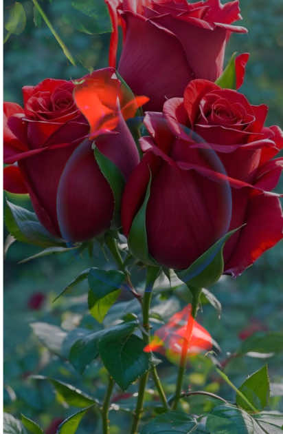 #creatorshearchinsight #viral #shortvideo #fyp #fyp 