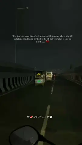 Sometimes I feel so disturbed inside, not knowing where life is taking me. I try to stay strong, to smile and be okay, but every day feels like another silent battle within. My heart aches, yet I remind myself that even in this confusion and pain, Allah is still guiding me — even when I can’t see the way. Maybe this heaviness is His way of drawing me closer, teaching me patience, and purifying my soul. I keep holding on, trusting that every hardship is written with wisdom, and one day I’ll look back and realize that even my tears were a part of His mercy. 💔 #allahknowsbest #allahknowseverything #alhamdulillah❤️ 