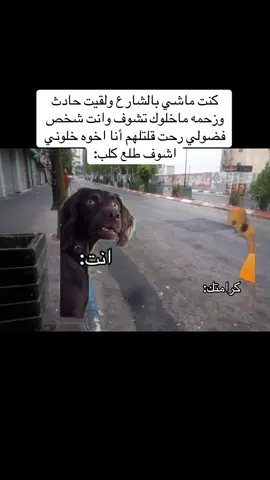 إذا تحب تضحك تابعني وتابع هاذا الحساب @الهاشمي 🇮🇶 #متابعه_ولايك_واكسبلور_احبكم #الشعب_الصيني_ماله_حل😂 #الشعب_الصيني_ماله_حل😂😂 