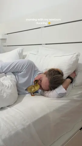 morning with my newborn duckling 🐥 #ducklings #duckmom #cute #asmrsounds #fyppppppppppppppppppppppp 