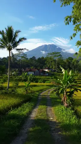 indah dan damai di desa ❤️ #ndesovibes #suasanapedesaan #nature #landscape #alam 