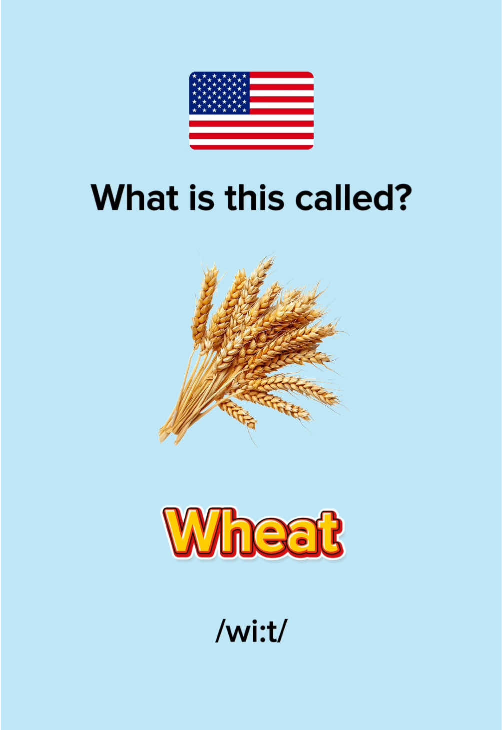 Learn Agricultural Vocabulary: Plants and Crops #learnenglish #englishwords #englishvocabulary #EduTok 