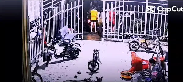 hơi sợ nhưng vuii#xuhuonggg @Truczyyy @hướng ngoại 😆😆 @Sự Thật Mất Lòng